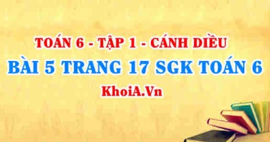 Bài 5 trang 17 SGK Toán 6 tập 1 Cánh Diều